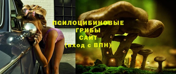 прущая мука Остров