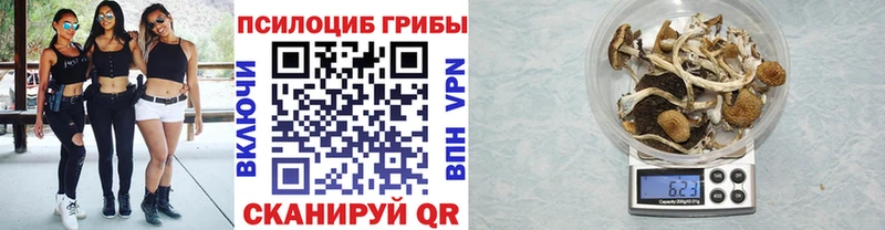 Галлюциногенные грибы Cubensis  Суворов 
